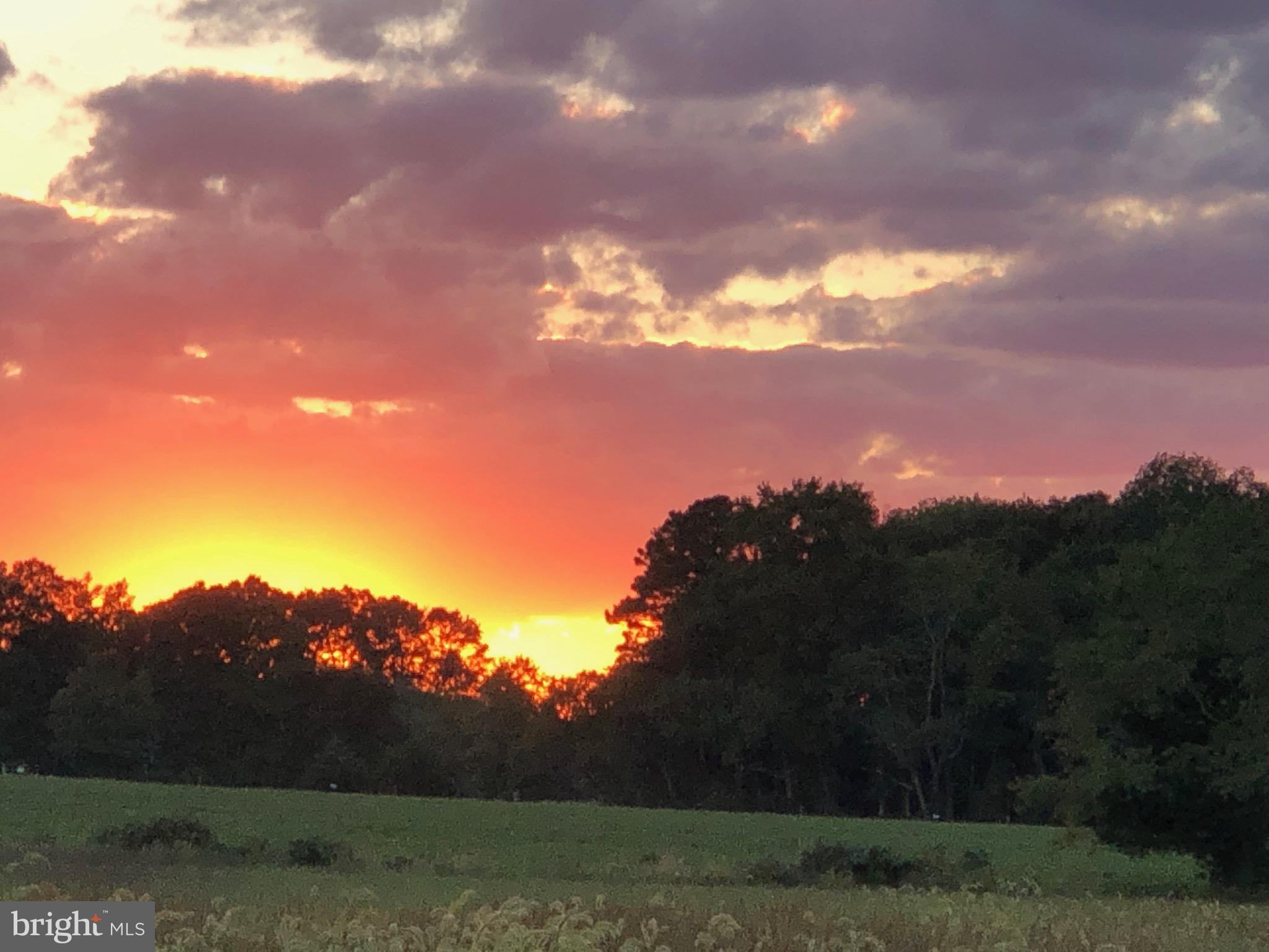 11910 Back Creek Road Bishopville, MD 21813 - Photo 55 of 94 Sunset