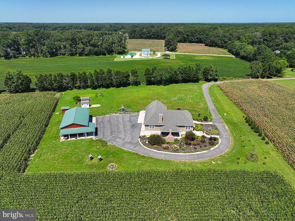 11910 Back Creek Road Bishopville, MD 21813 - Photo 56 of 94 a backyard of a house with outdoor seating yard and outdoor seating