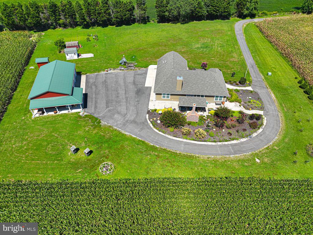 11910 Back Creek Road Bishopville, MD 21813 - Photo 57 of 94 an aerial view of a house with outdoor space and trees all around