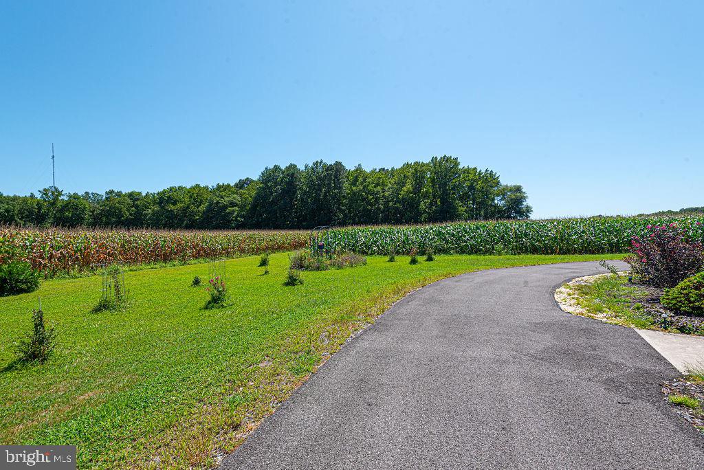 11910 Back Creek Road Bishopville, MD 21813 - Photo 60 of 94 Driveway