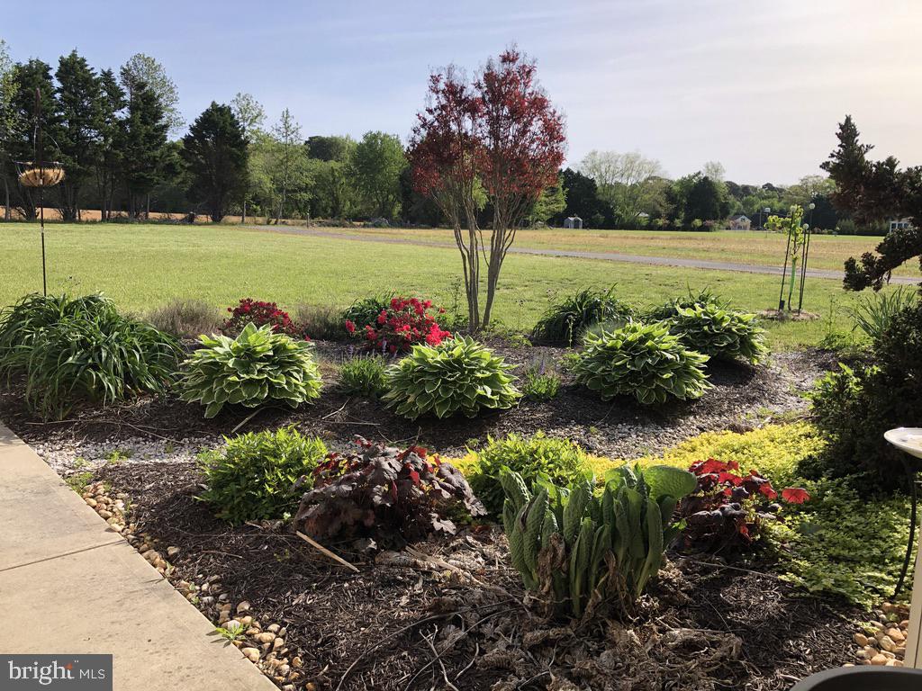 11910 Back Creek Road Bishopville, MD 21813 - Photo 63 of 94 a view of a lake with a big yard and potted plants