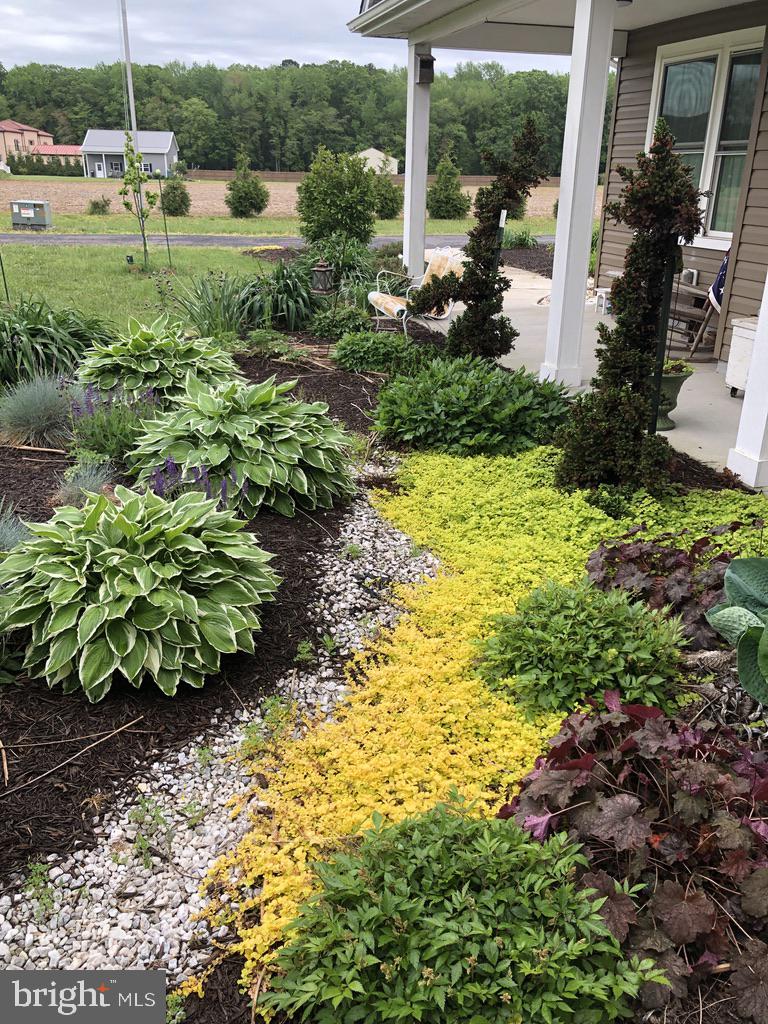 11910 Back Creek Road Bishopville, MD 21813 - Photo 64 of 94 a view of a garden with a fountain
