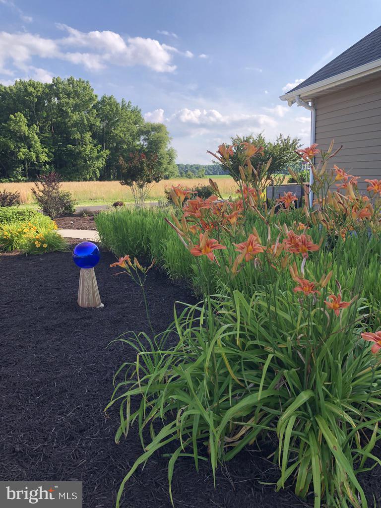 11910 Back Creek Road Bishopville, MD 21813 - Photo 72 of 94 an aerial view of a house with a yard