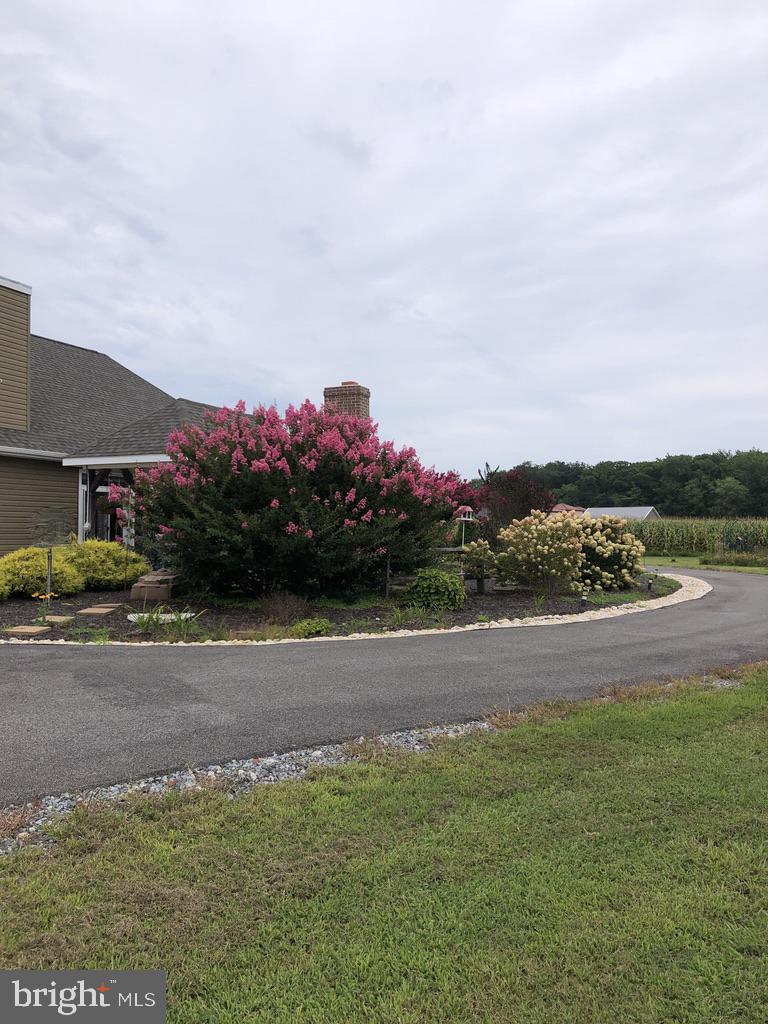 11910 Back Creek Road Bishopville, MD 21813 - Photo 76 of 94 Beautiful landscaping