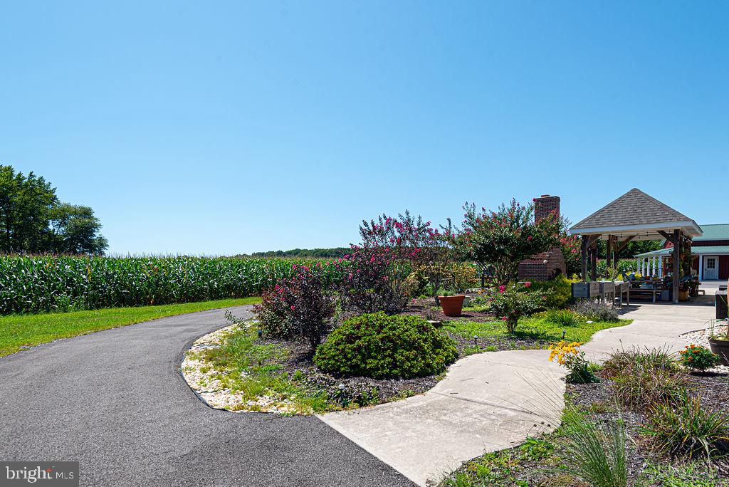 11910 Back Creek Road Bishopville, MD 21813 - Photo 82 of 94 Nicely Landscaped