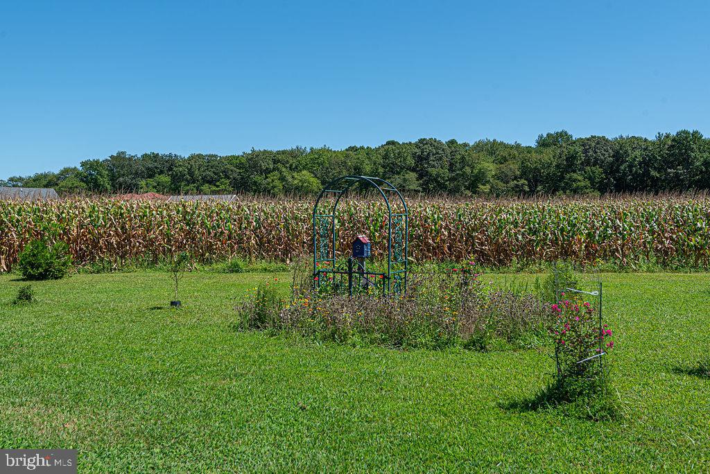 11910 Back Creek Road Bishopville, MD 21813 - Photo 84 of 94