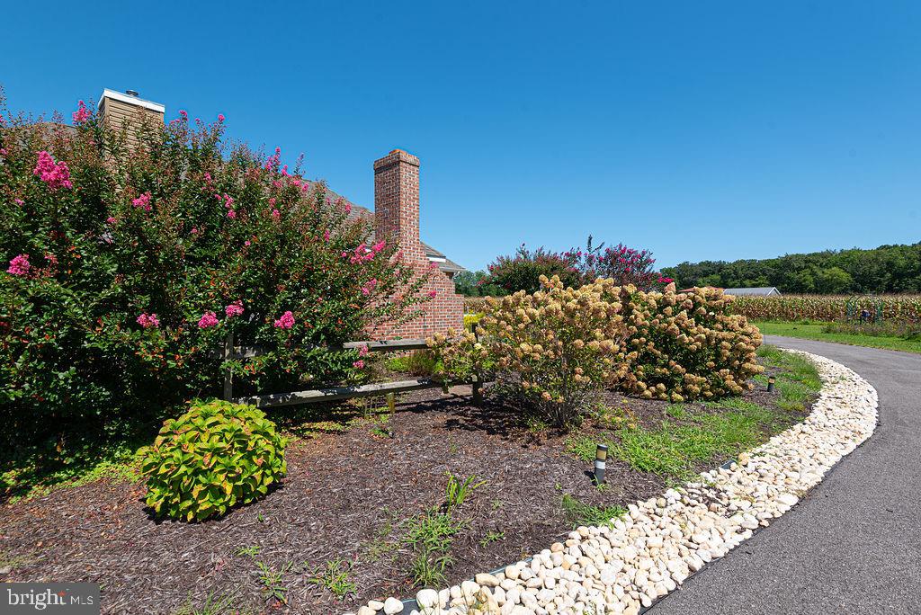 11910 Back Creek Road Bishopville, MD 21813 - Photo 87 of 94