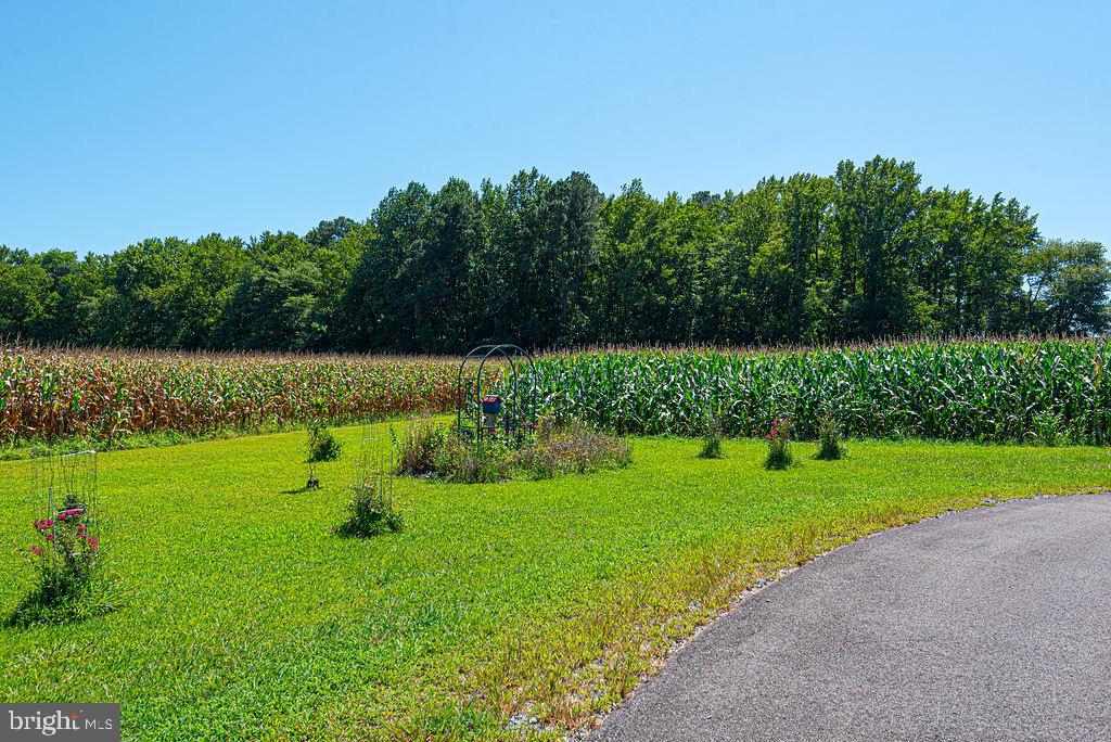11910 Back Creek Road Bishopville, MD 21813 - Photo 88 of 94 a view of a golf course with a lake view