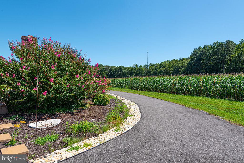 11910 Back Creek Road Bishopville, MD 21813 - Photo 90 of 94 a view of a golf course with a lake