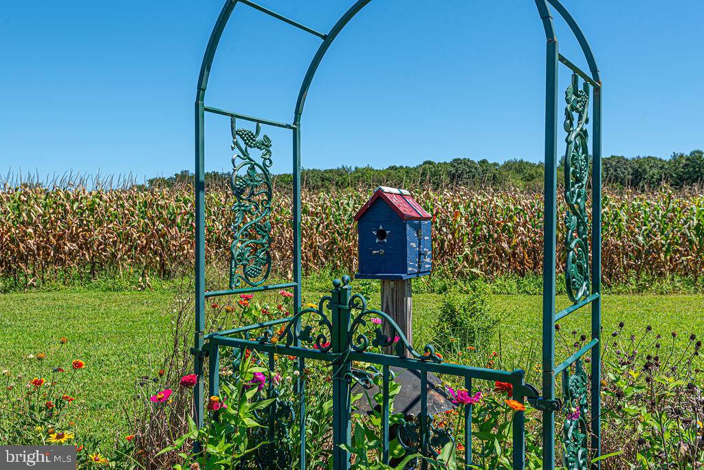 11910 Back Creek Road Bishopville, MD 21813 - Photo 91 of 94
