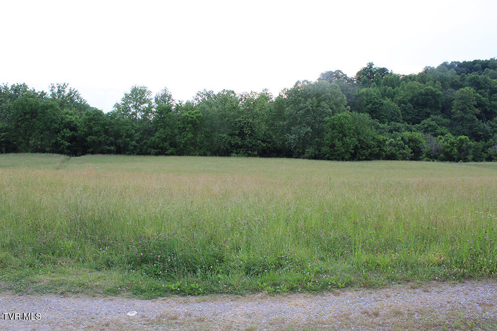 0 Key Hole Road Fort Blackmore, VA 24250 - Photo 2 of 10 IMG_6872