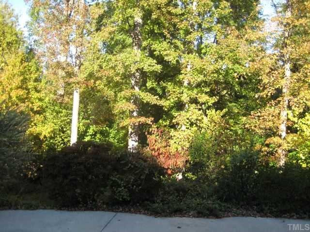 2749 Rothgeb Drive Raleigh, NC 27609 - Photo 2 of 2 View out the back of house