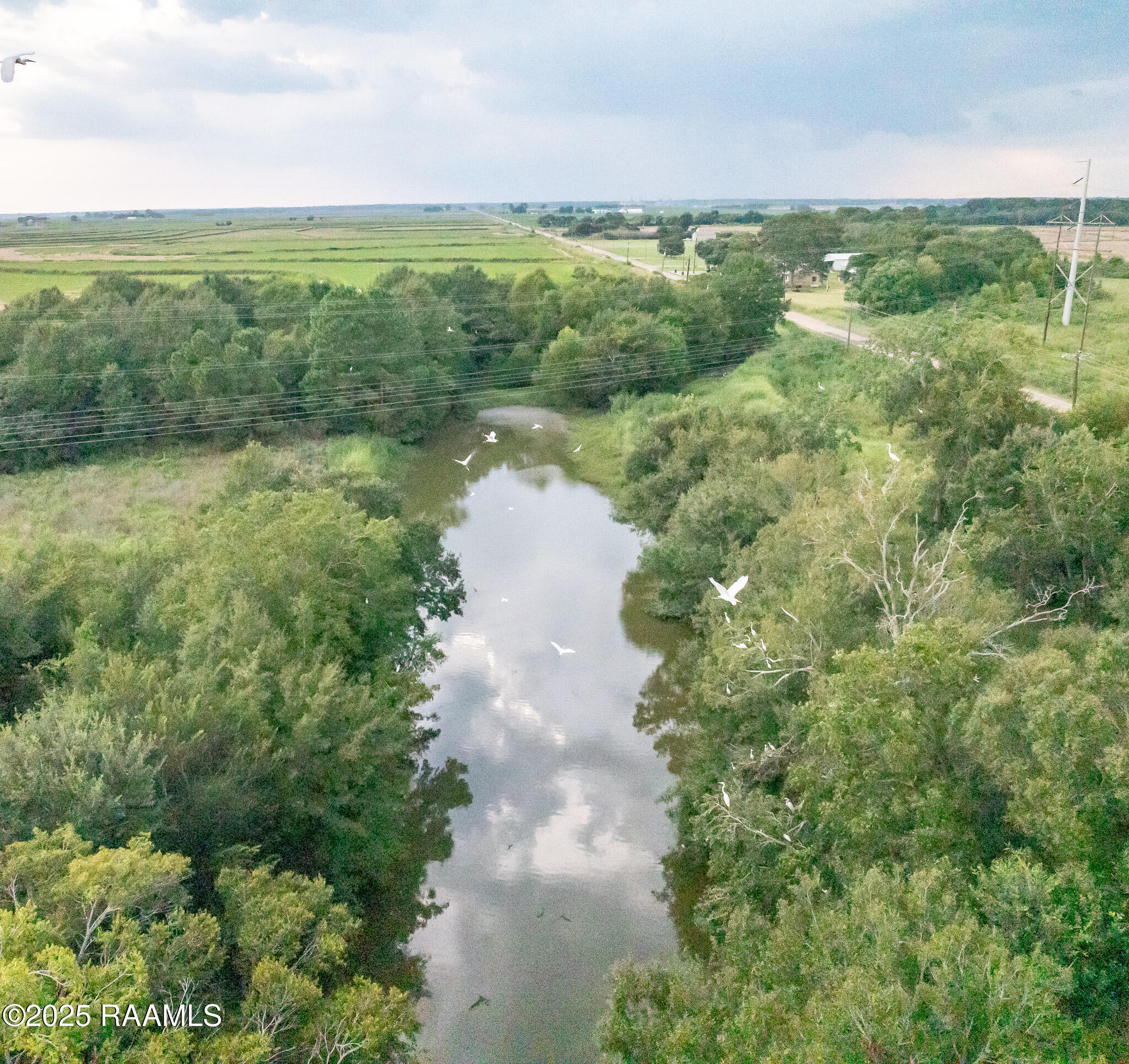 5393 Gumpoint Road Eunice, LA 70535 - Photo 8 of 16 DJI_0748