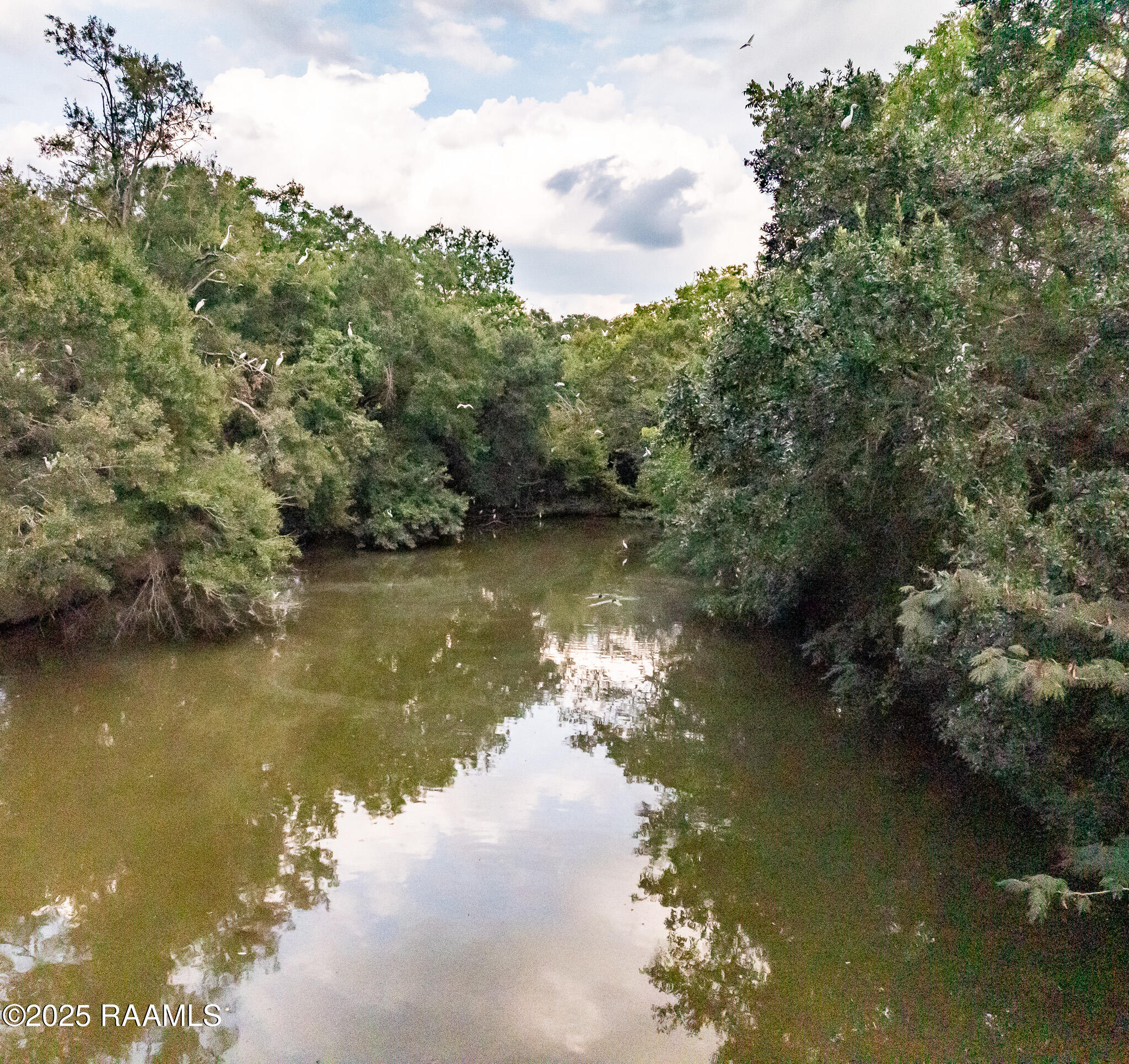 5393 Gumpoint Road Eunice, LA 70535 - Photo 9 of 16 DJI_0743