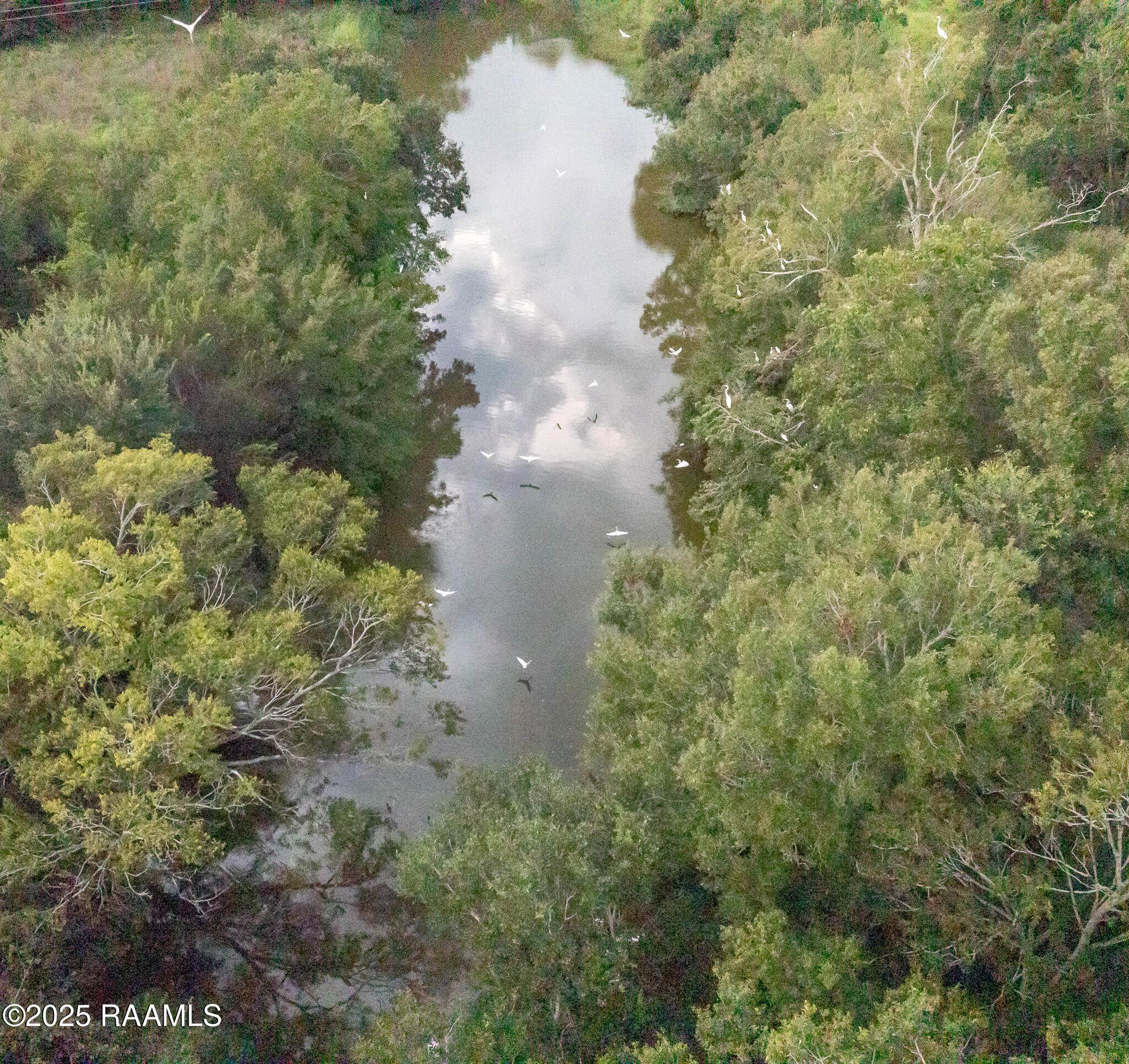 5393 Gumpoint Road Eunice, LA 70535 - Photo 10 of 16 DJI_0749