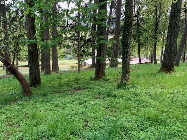 2114 Riverview Street Eugene, OR 97403 - Photo 20 of 28