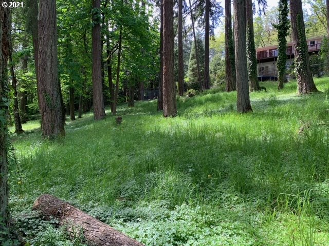 2114 Riverview Street Eugene, OR 97403 - Photo 22 of 28