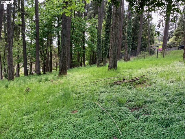 2114 Riverview Street Eugene, OR 97403 - Photo 23 of 28