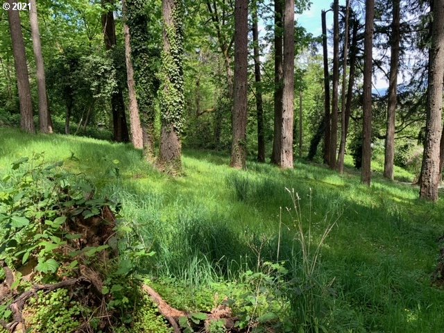 2114 Riverview Street Eugene, OR 97403 - Photo 26 of 28