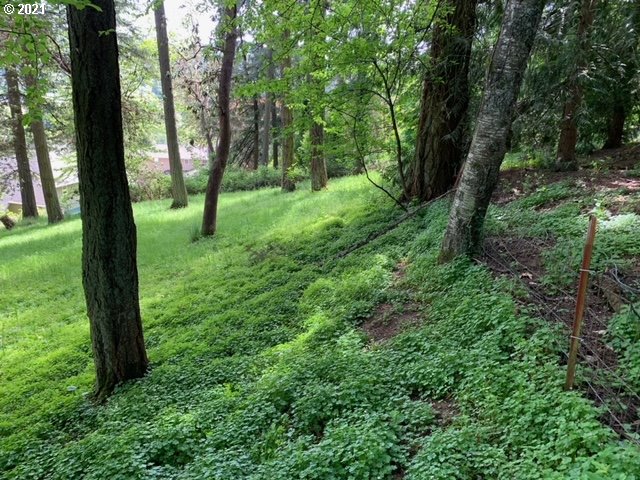 2114 Riverview Street Eugene, OR 97403 - Photo 27 of 28