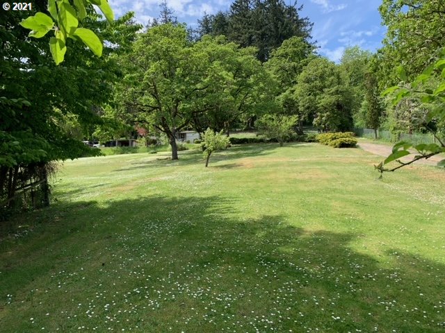 2114 Riverview Street Eugene, OR 97403 - Photo 9 of 28