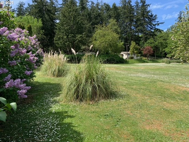 2114 Riverview Street Eugene, OR 97403 - Photo 10 of 28