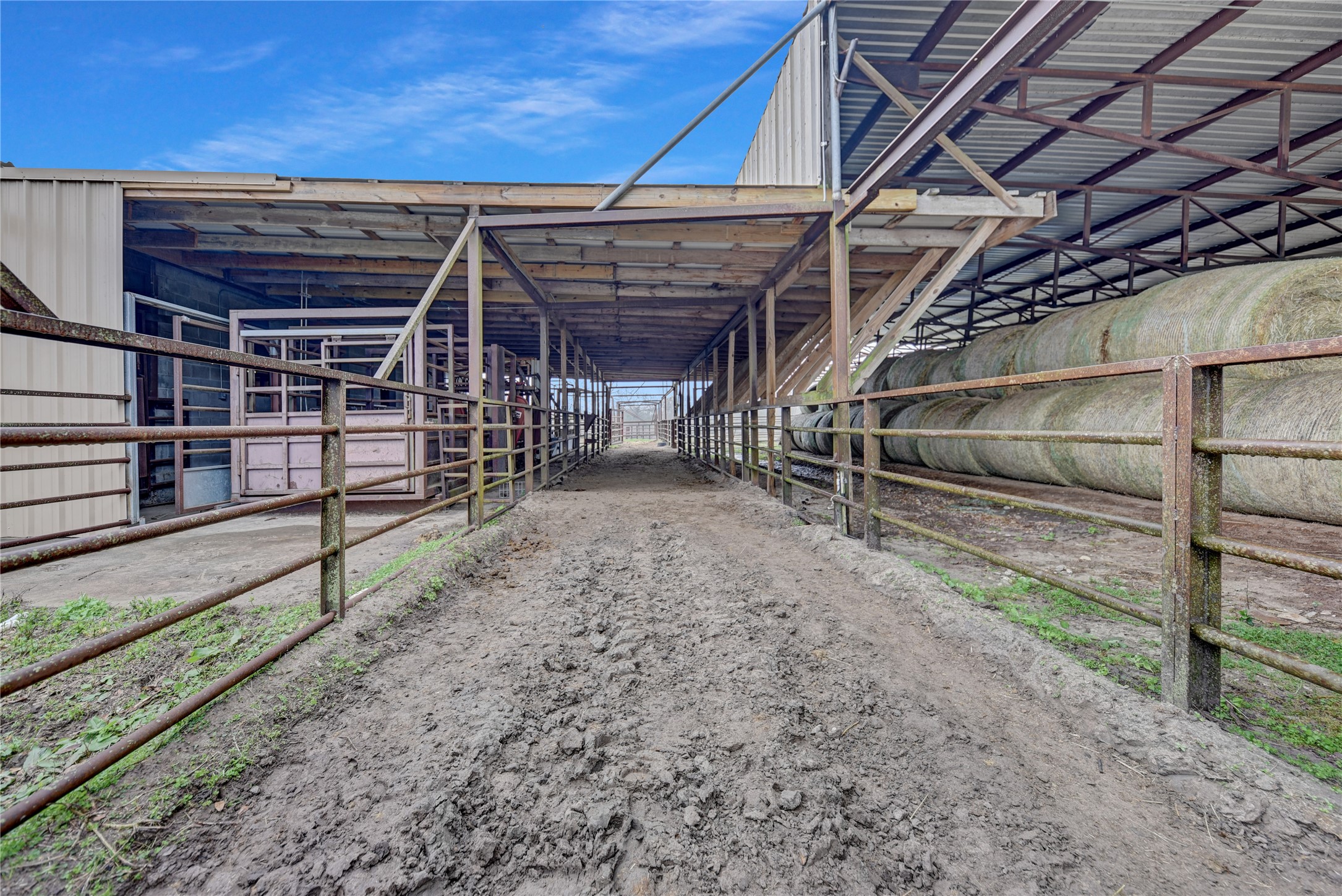 9950 Palestine Road Brenham, TX 77833 - Photo 46 of 49 Covered cattle working pens planned to allow for an all inclusive cattle operation! This area is complete with a working shoot with a hydraulic squeeze, cattle crush, electric scale, sorting gates, and multiple pipe holding pens accessible from the barn, pastures, and loading area.