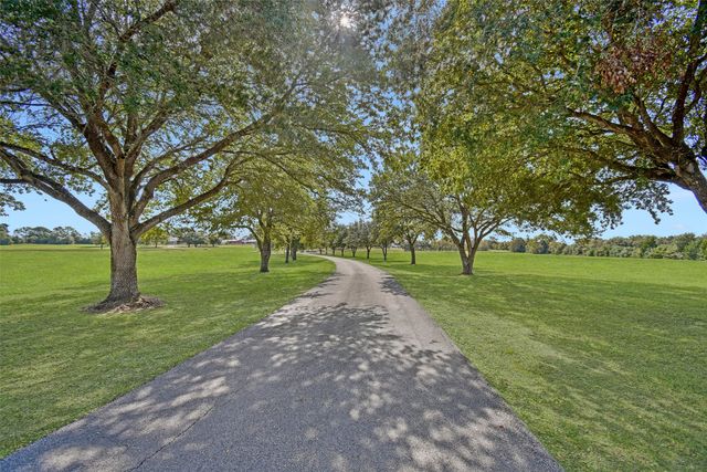 a huge green field with lots of trees