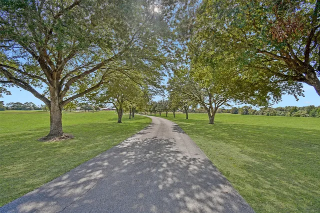 a huge green field with lots of trees