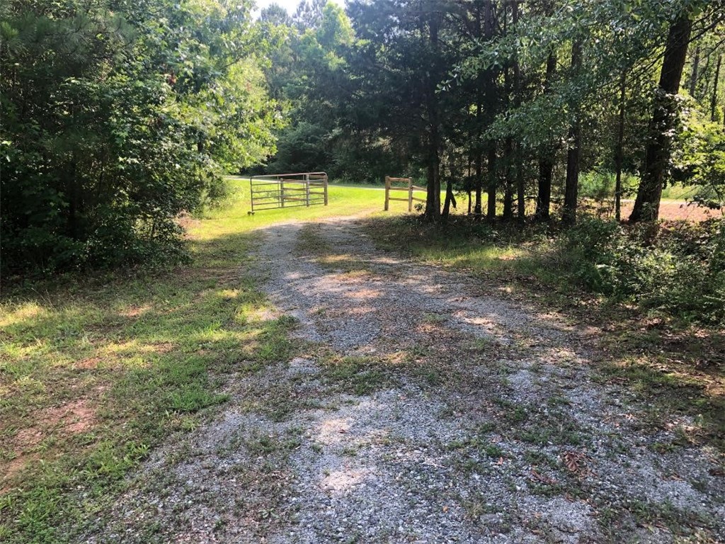 386 Franks Place Road Iva, SC 29655 - Photo 6 of 18 Gallery Image 6
