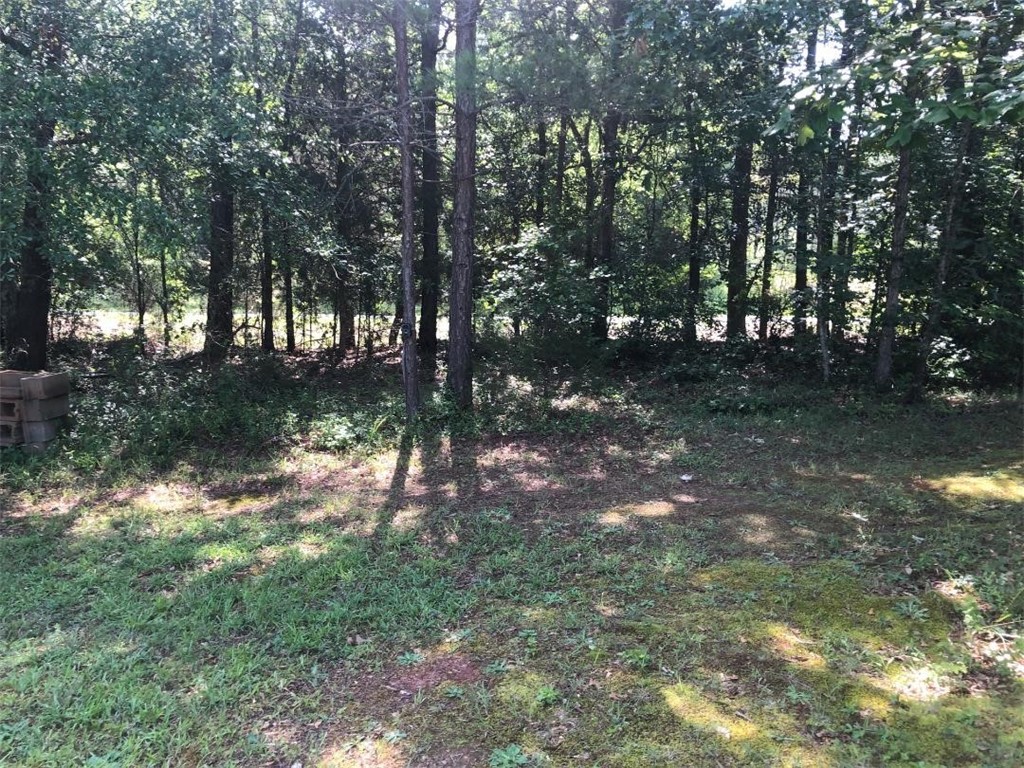 386 Franks Place Road Iva, SC 29655 - Photo 7 of 18 Gallery Image 7