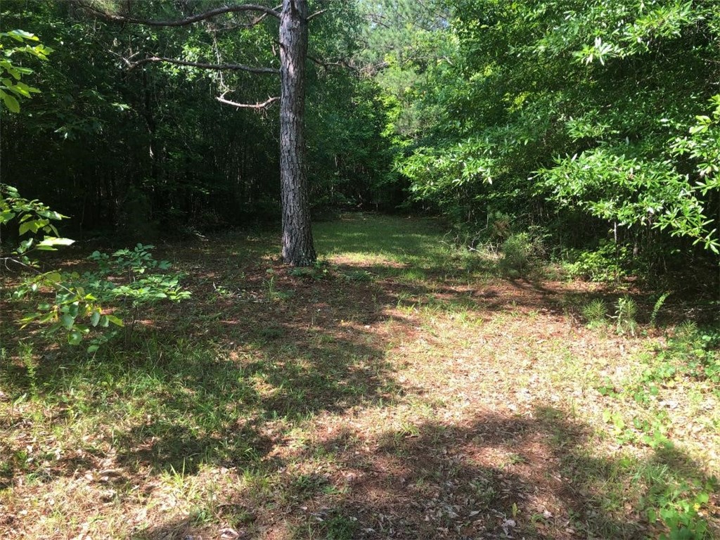 386 Franks Place Road Iva, SC 29655 - Photo 9 of 18 Gallery Image 9