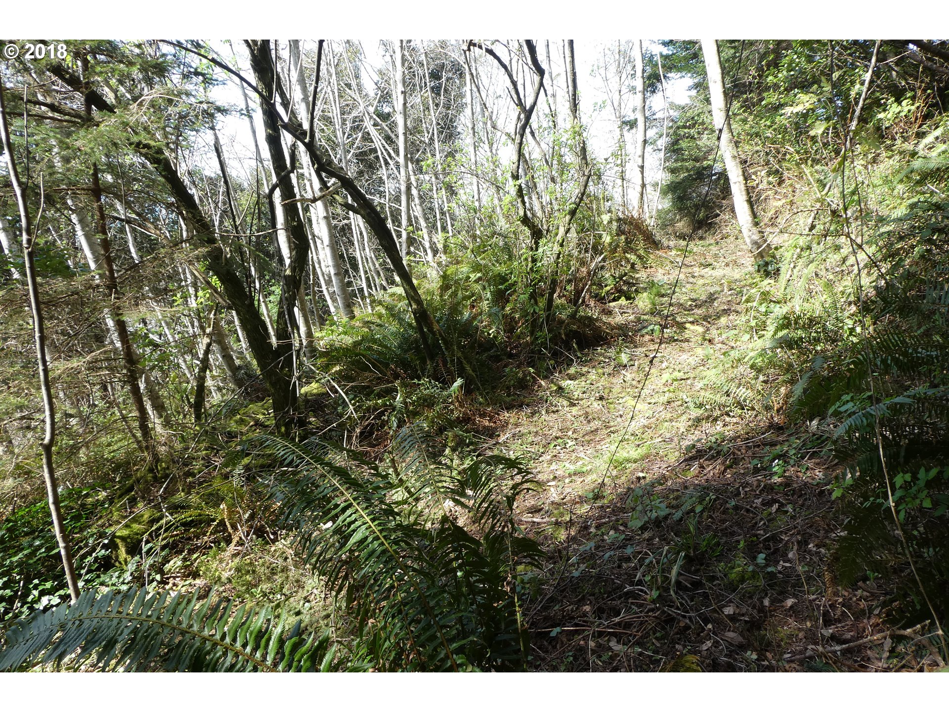 Hillside Acres Road, Unit 124 Gold Beach, OR 97444 - Photo 11 of 16 Gallery Image 11