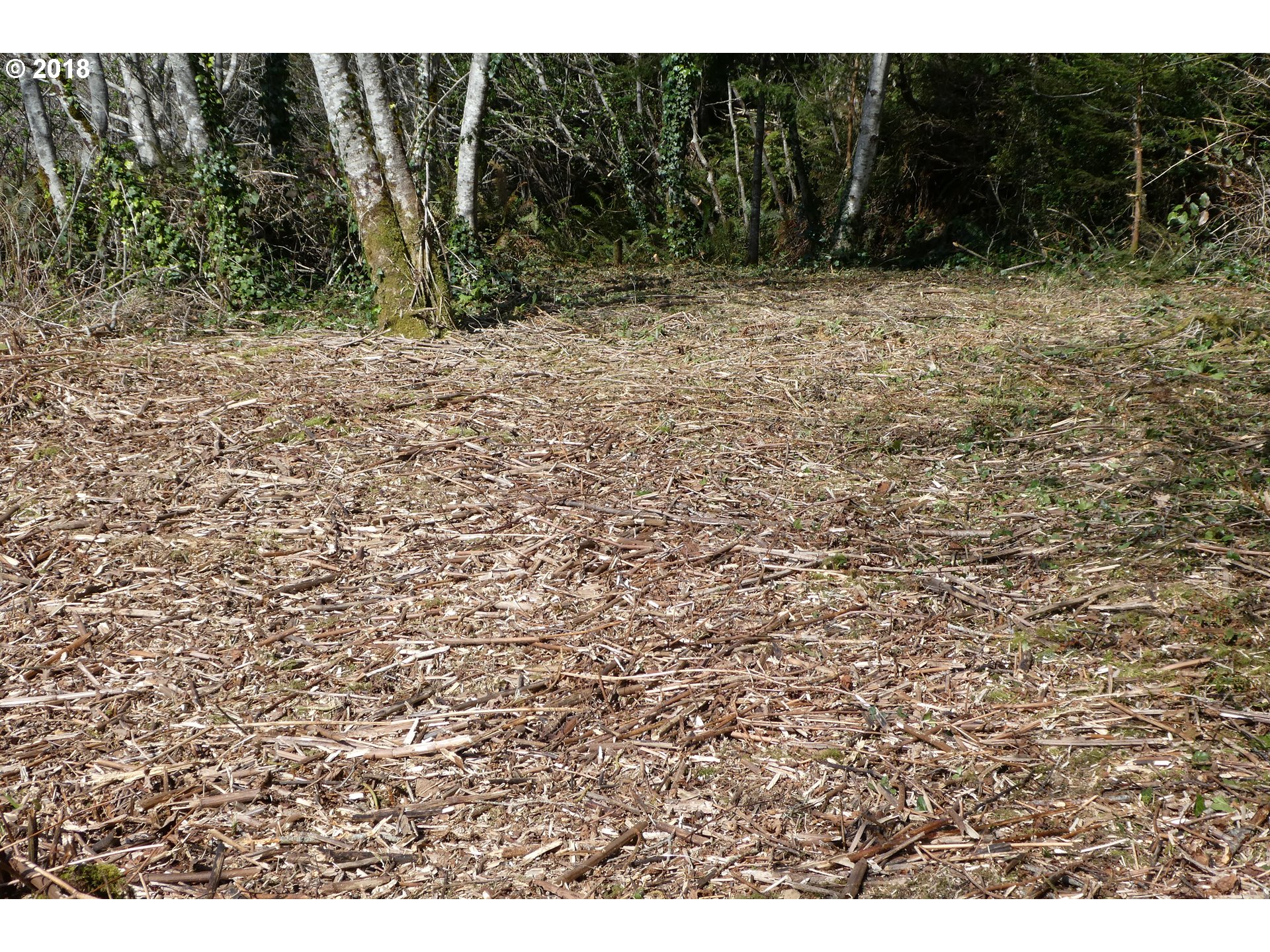 Hillside Acres Road, Unit 124 Gold Beach, OR 97444 - Photo 12 of 16 Gallery Image 12