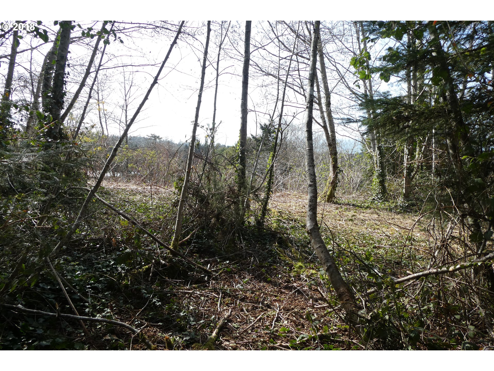 Hillside Acres Road, Unit 124 Gold Beach, OR 97444 - Photo 13 of 16 Gallery Image 13