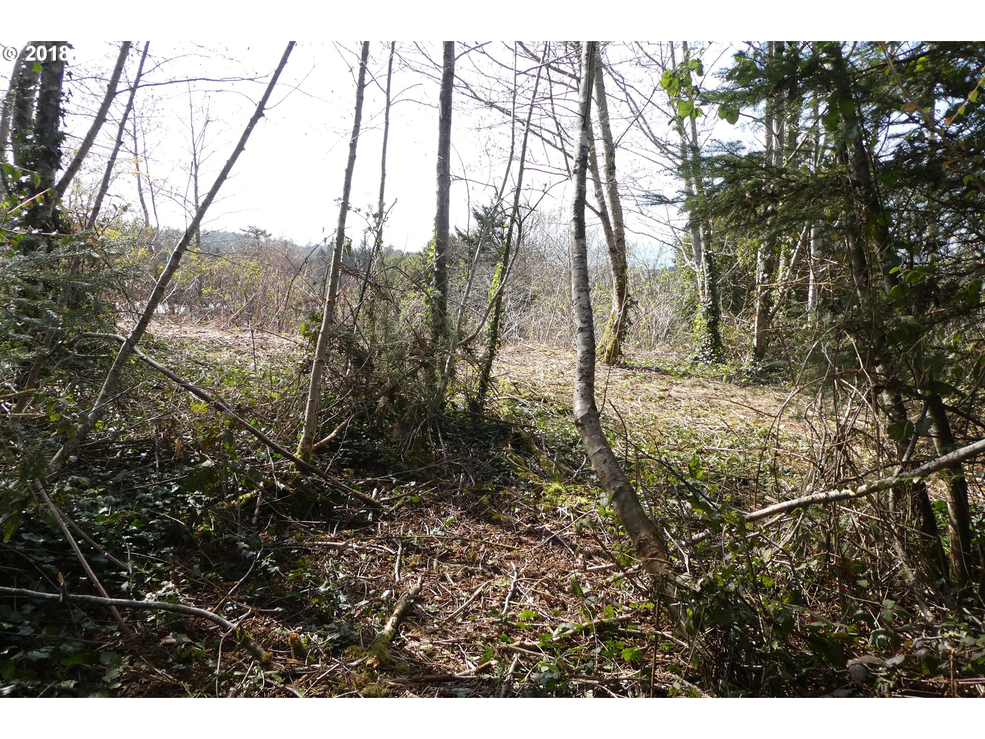 Hillside Acres Road, Unit 124 Gold Beach, OR 97444 - Photo 14 of 16 Gallery Image 14