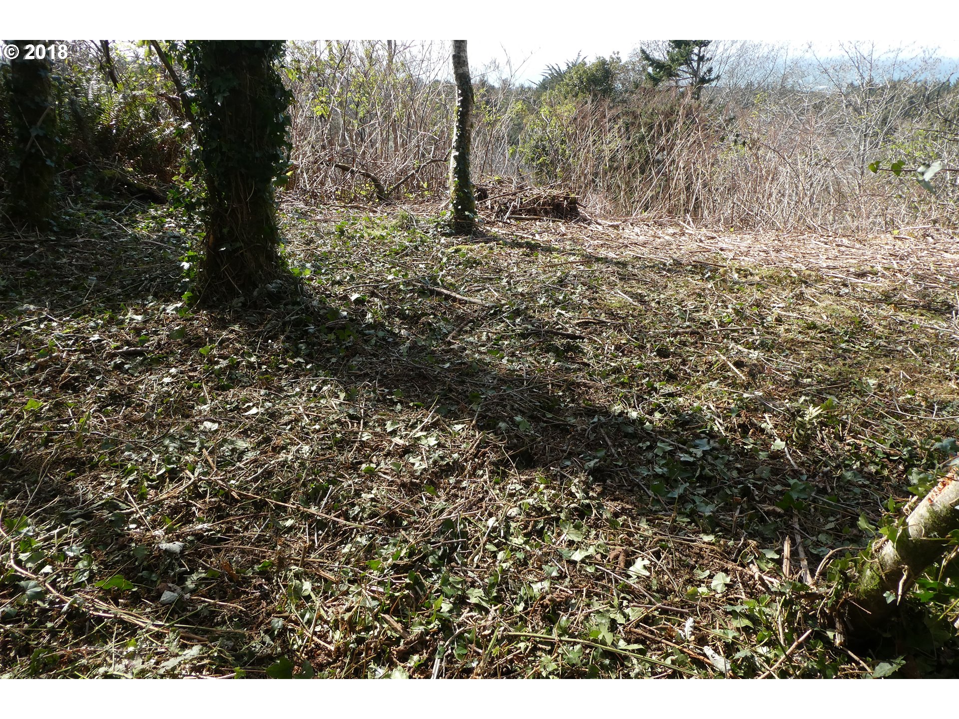 Hillside Acres Road, Unit 124 Gold Beach, OR 97444 - Photo 15 of 16 Gallery Image 15