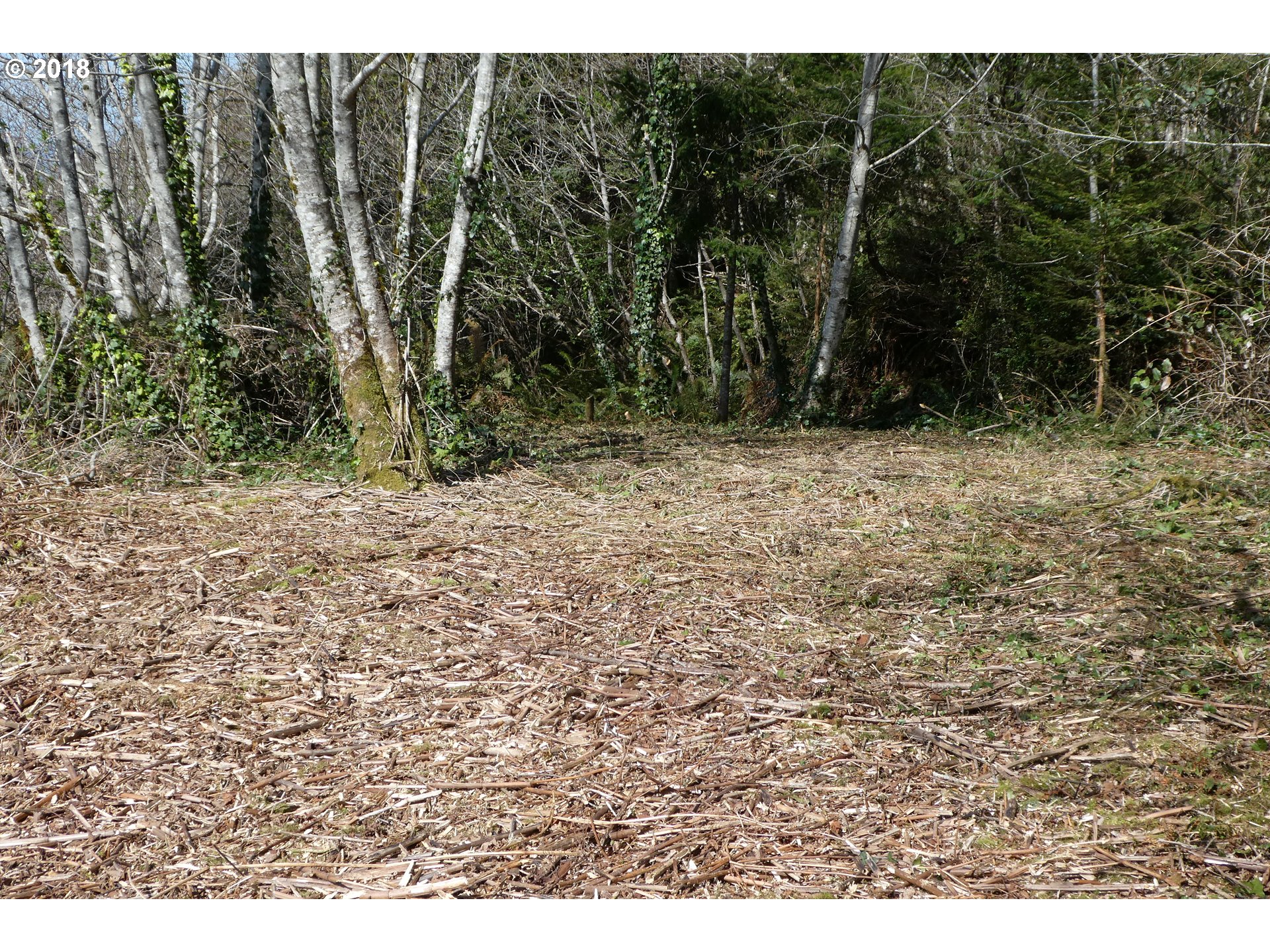 Hillside Acres Road, Unit 124 Gold Beach, OR 97444 - Photo 3 of 16 Gallery Image 3
