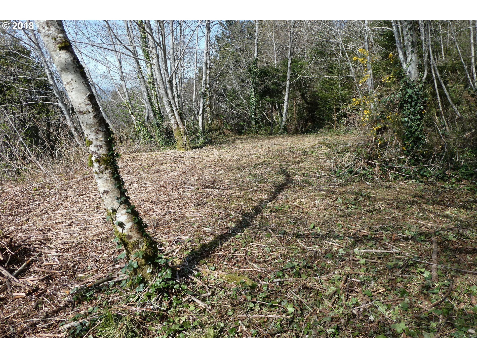 Hillside Acres Road, Unit 124 Gold Beach, OR 97444 - Photo 6 of 16 Gallery Image 6