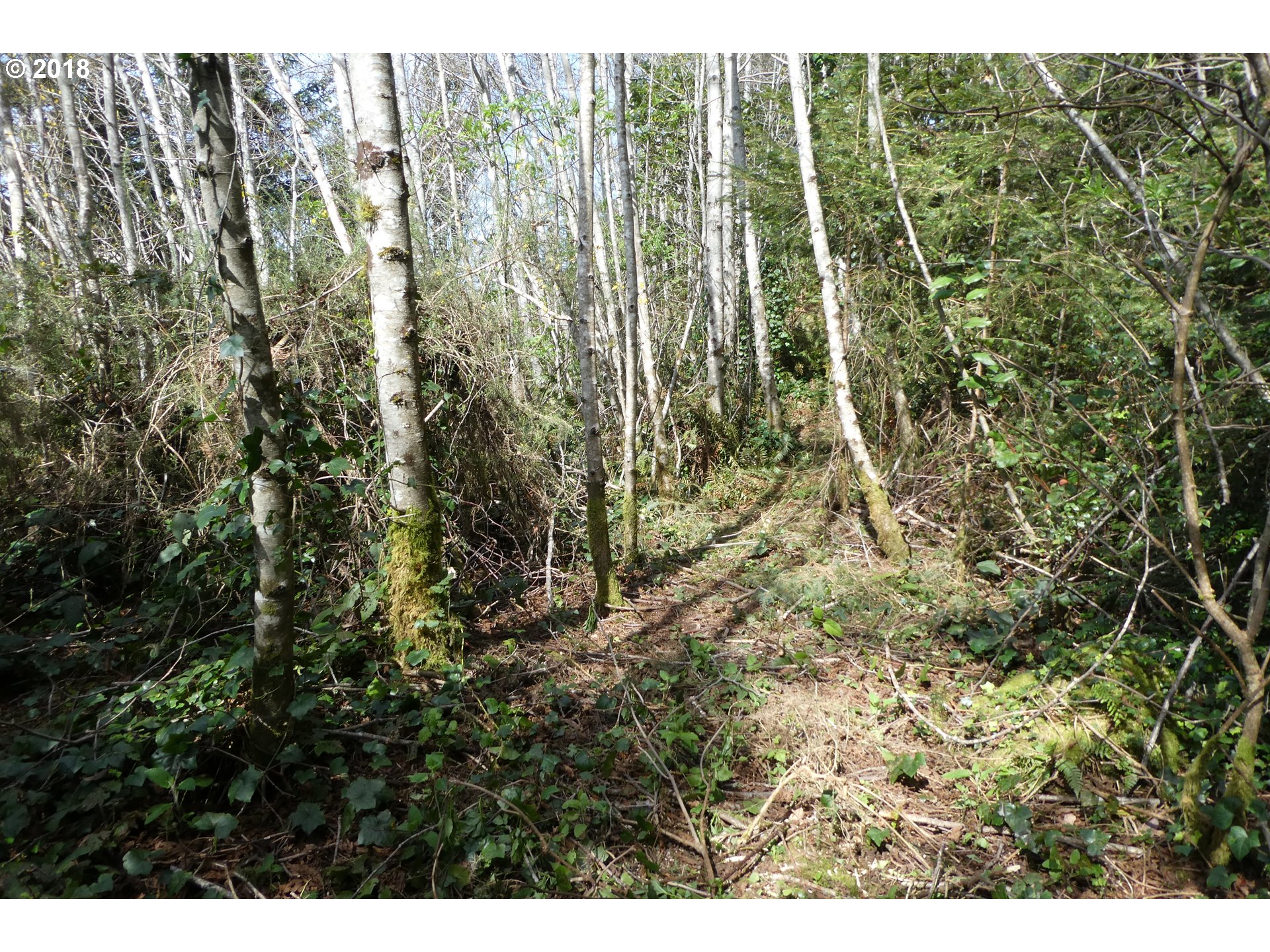 Hillside Acres Road, Unit 124 Gold Beach, OR 97444 - Photo 10 of 16 Gallery Image 10