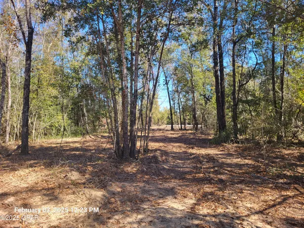 $39,900 | 0 Tommy Tucker Road, Unit LOT 2, Altha, FL 32421
