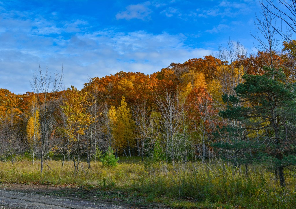 Bluff Lane Fish Creek, WI 54212 - Photo 4 of 9