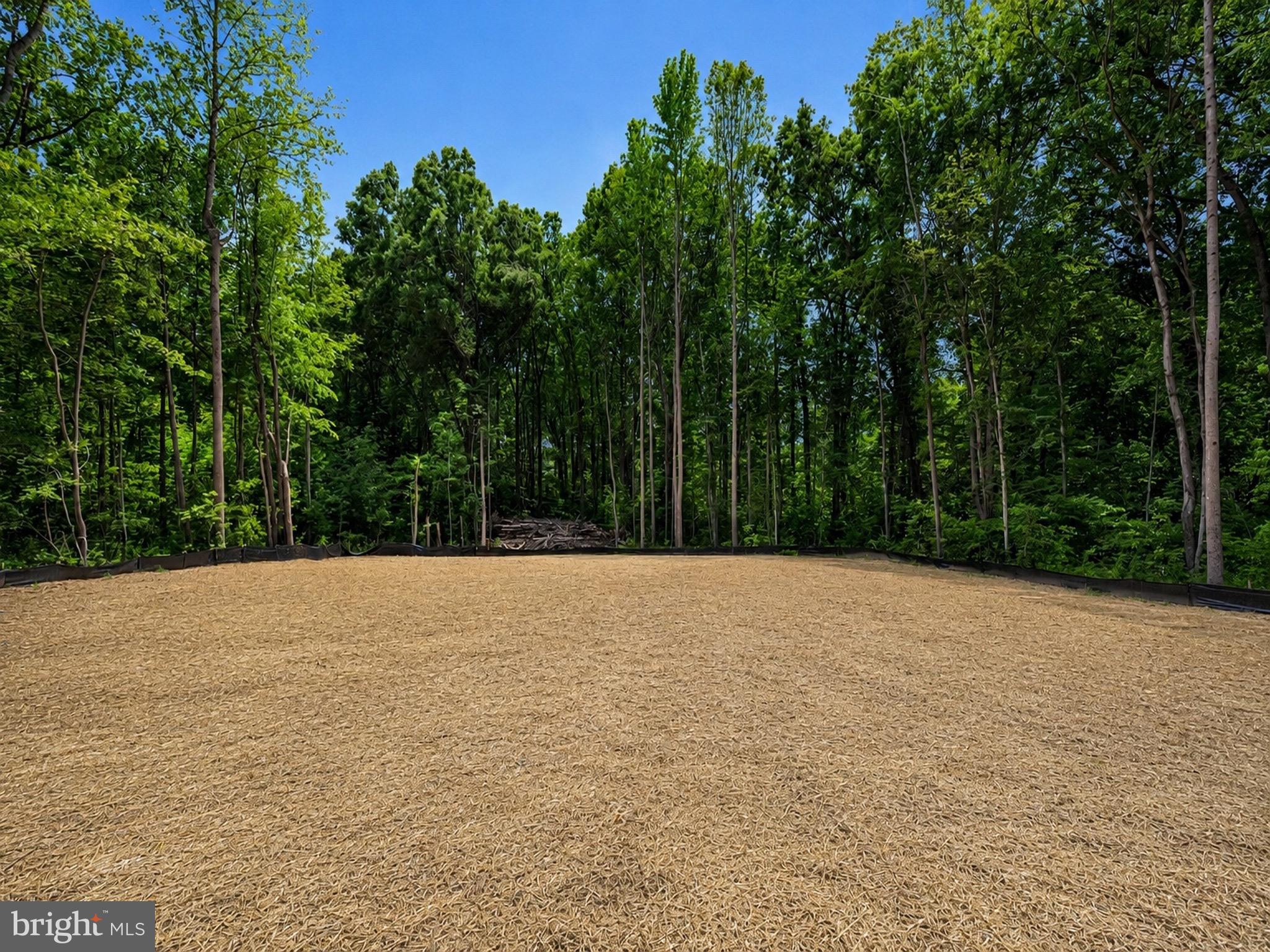 12032 Belfonte Road Bumpass, VA 23024 - Photo 4 of 27