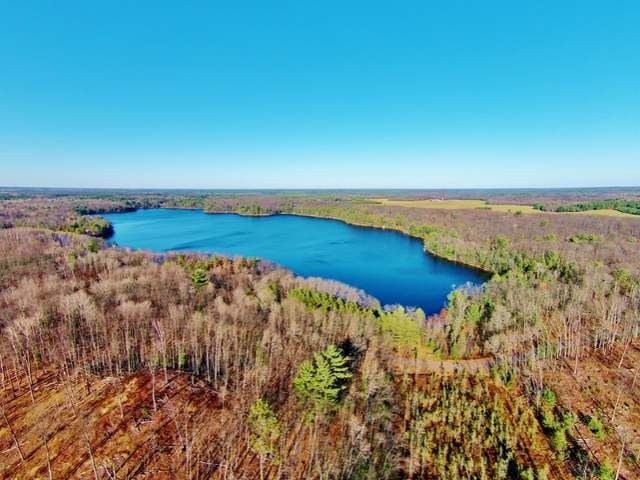 254-acres Kaubashine Road Hazelhurst, WI 54531 - Photo 48 of 78 Gallery Image 48