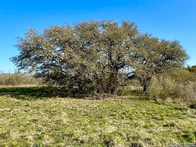 $259,900 | 3 Utopia Forest, D'Hanis, TX 78850