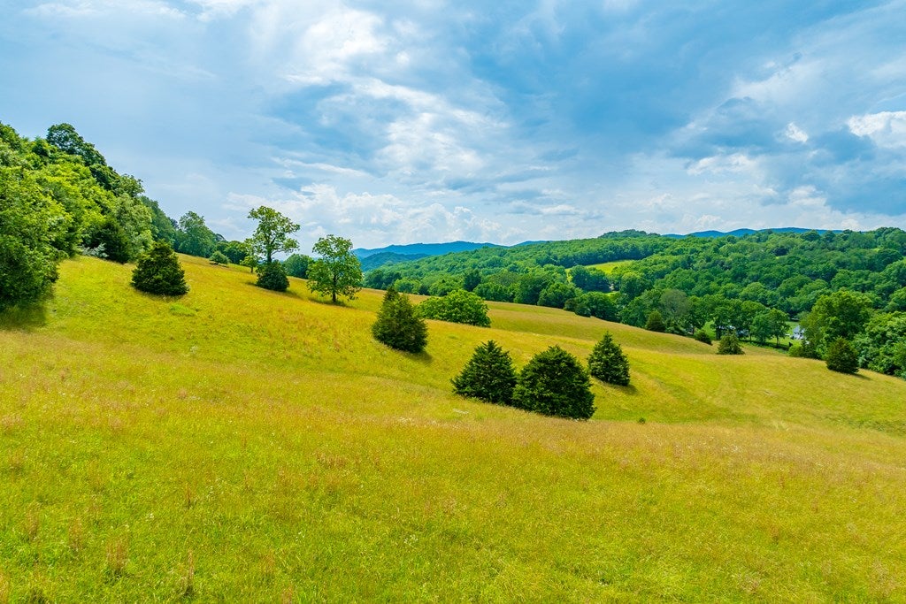 127 Trout Farm Road Rural Retreat, VA 24368 - Photo 71 of 88 Gallery Image 71