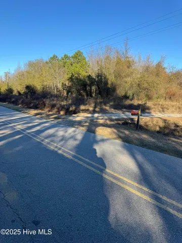 $349,000 | 0 New Hope Church Road, Turkey, NC 28393