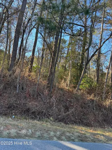 $349,000 | 0 New Hope Church Road, Turkey, NC 28393