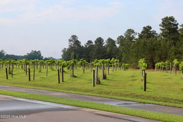 $589,900 | 141 Sycamore Lakes Drive, Wallace, NC 28466