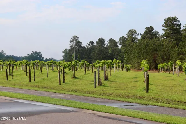 $589,900 | 141 Sycamore Lakes Drive, Wallace, NC 28466